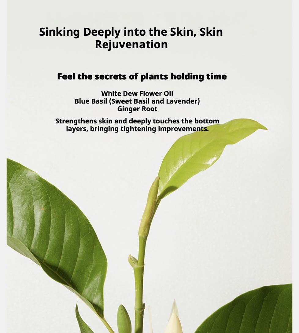 DAISY SKY White Dew Essential Oil Facial Mask promotional sheet with green leaves and plant-based ingredient list.