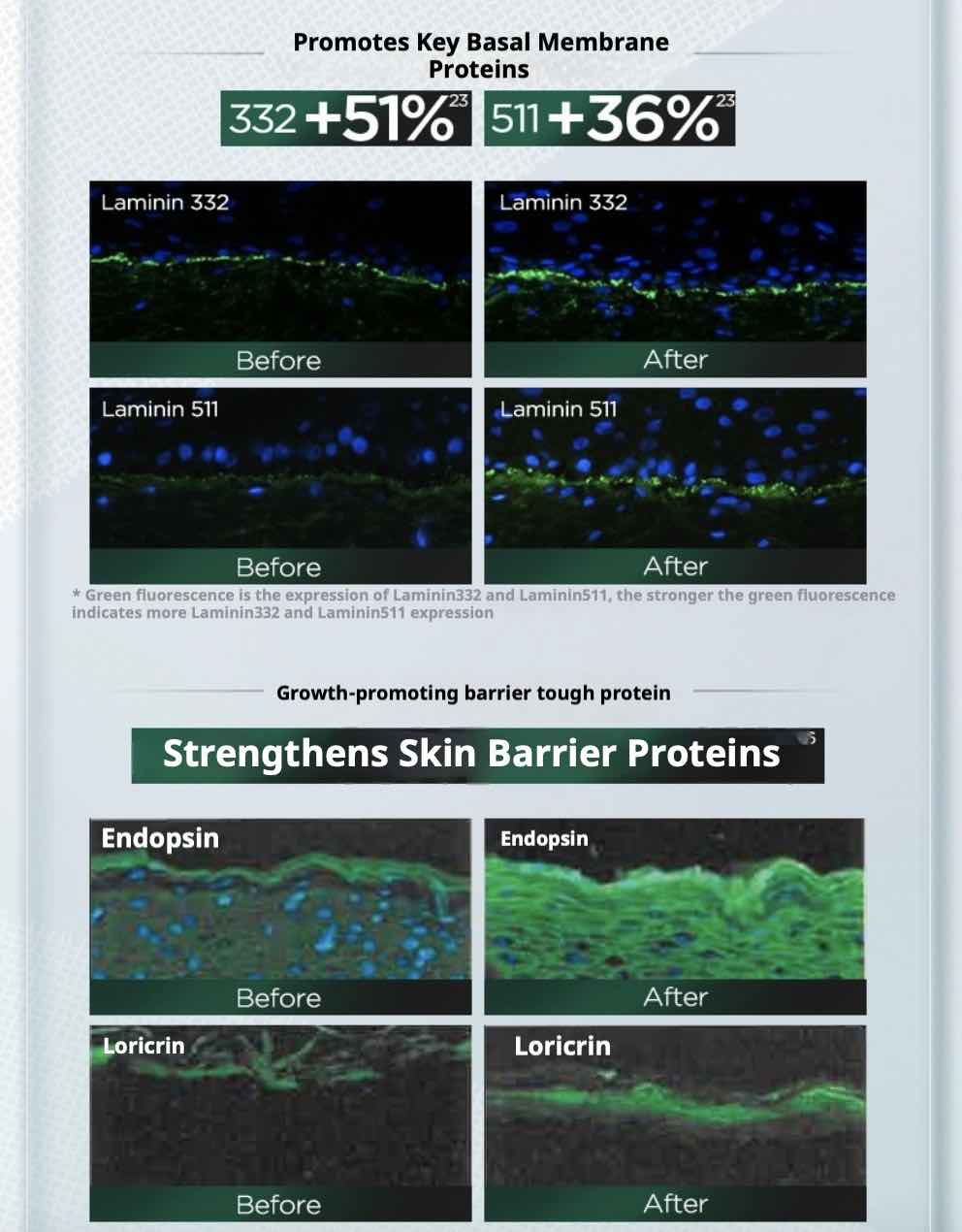 Biohyalux HA Barrier Conditioning Single Use Essence
