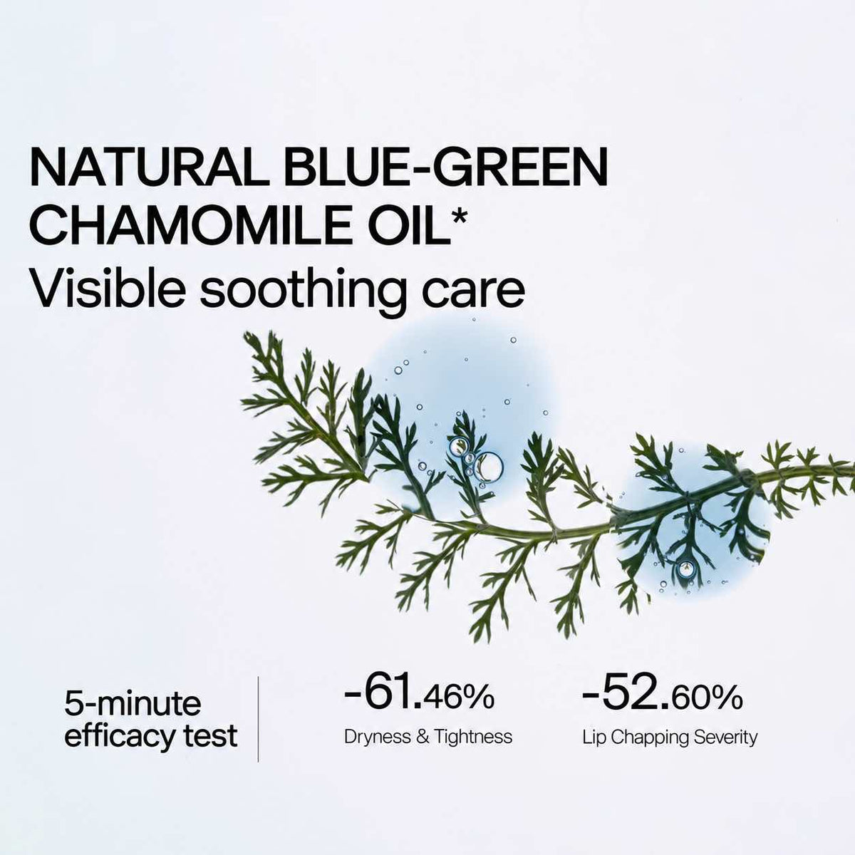 DAISY SKY Green Jadeite Repair Lip Serum