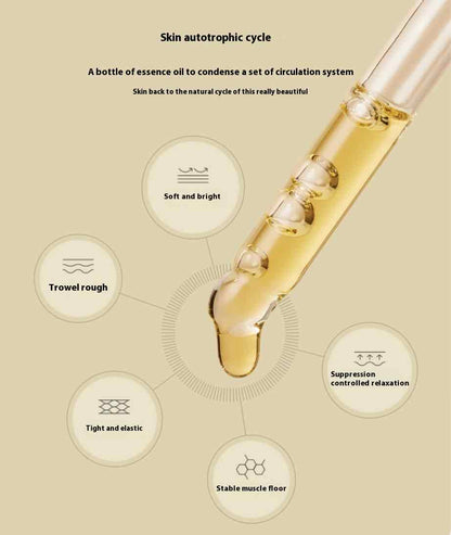 DAISY SKY Osmanthus Michelia Alba Firming Elixir boosts skin elasticity and combats aging with precious osmanthus extract and six plant polyphenols, promoting cell regeneration and a youthful appearance.