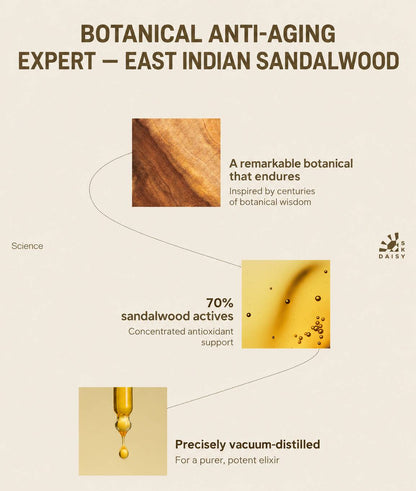 DAISY SKY Sandalwood Anti Wrinkle Elixir Oil