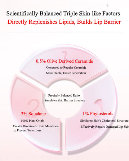 DDG Moist Care Lip Oil
