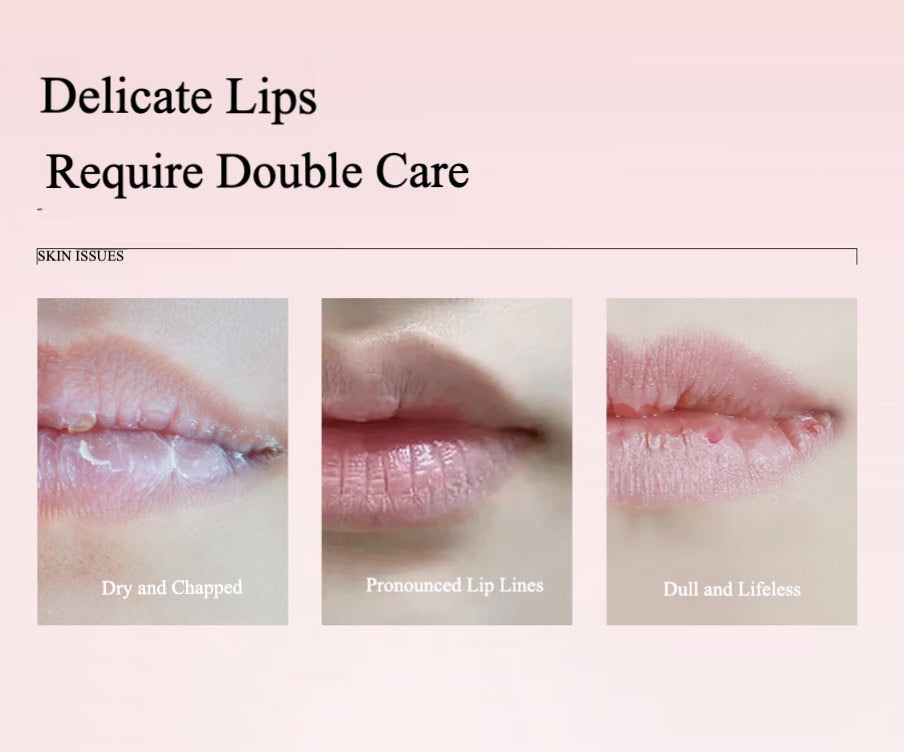 DDG Moist Care Lip Balm