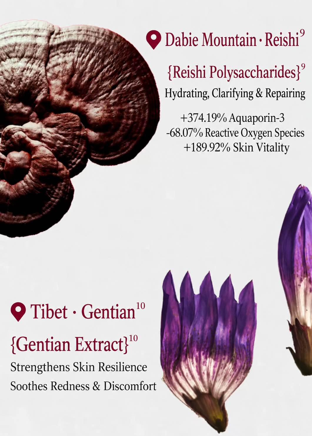 Herbeast Reishi Repairing Essence