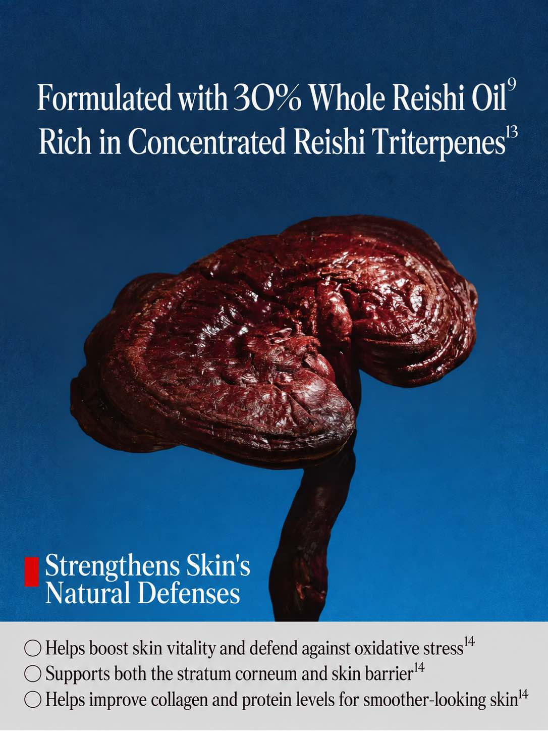 Herbeast Reishi Multi-repair Oil Serum