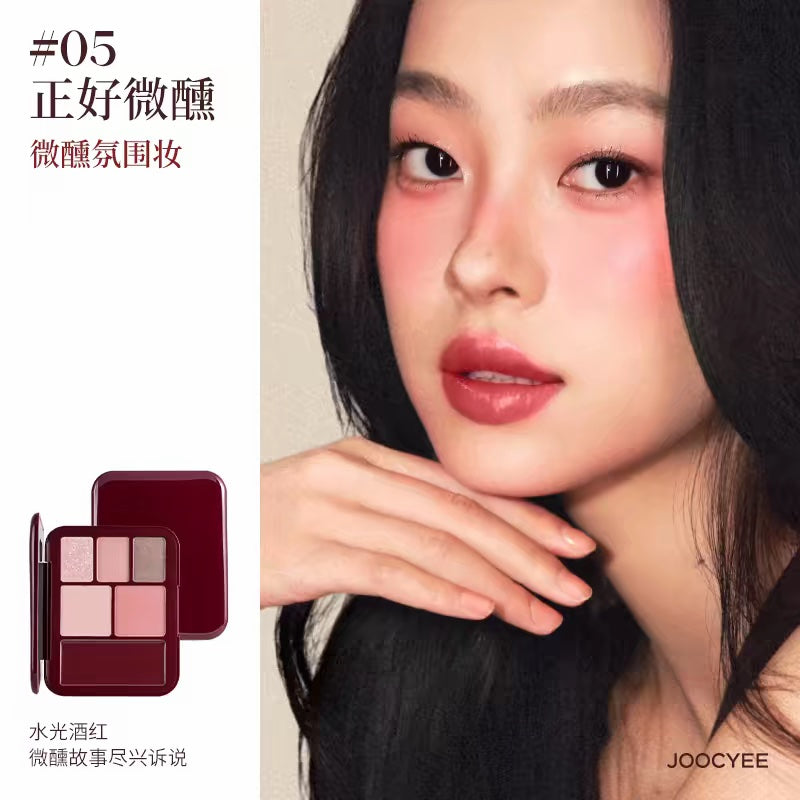 Joocyee Lookbook Multi Palette