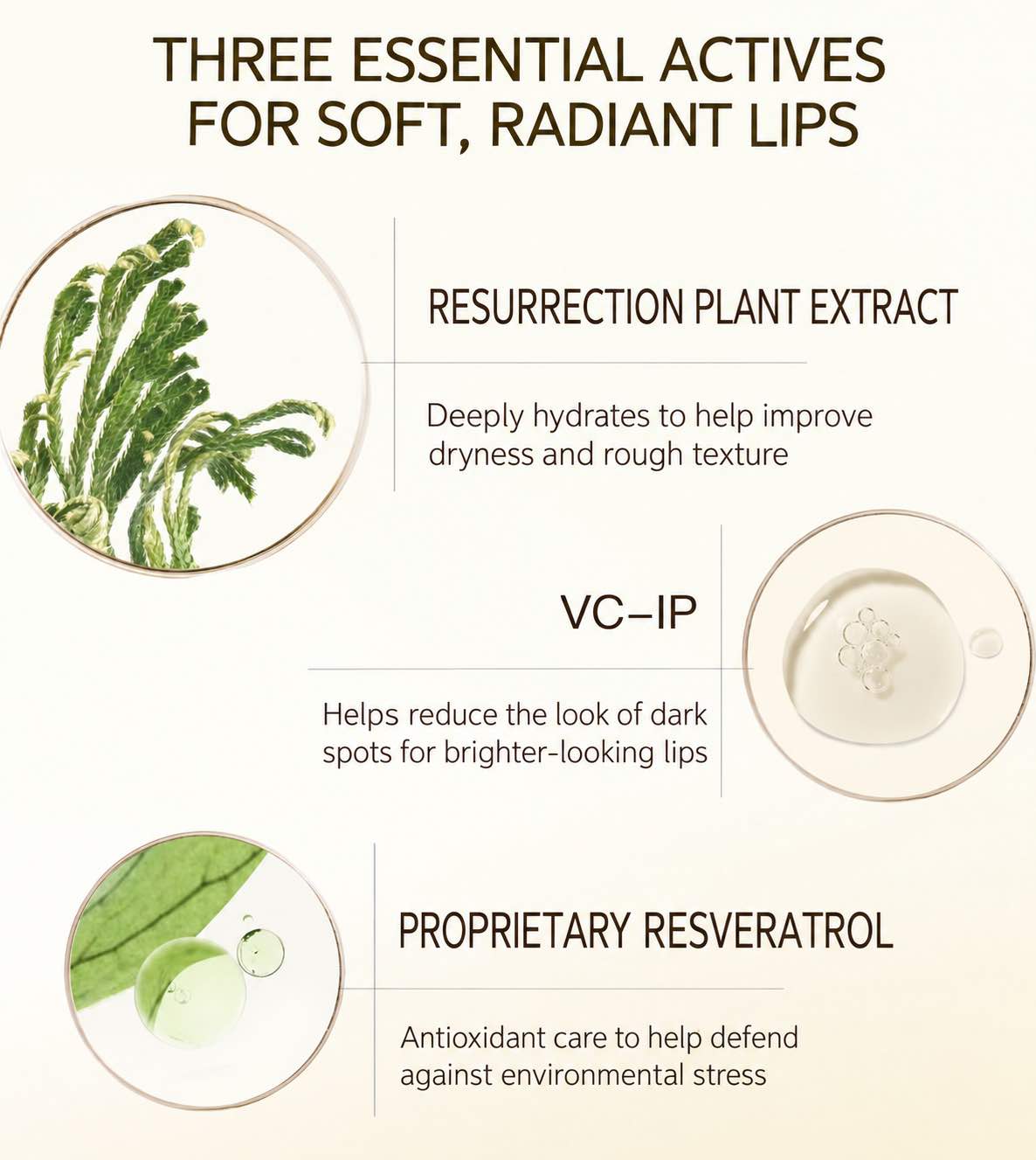 Kimtrue Moisturizing Radiance Boosting Lip Oil