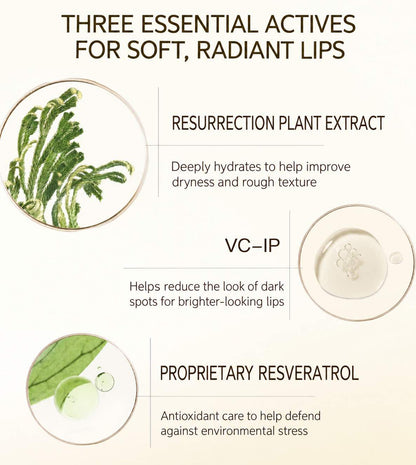 Kimtrue Moisturizing Radiance Boosting Lip Oil