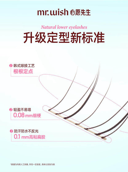 MR.WISH Lower Glue-Free False Eyelashes