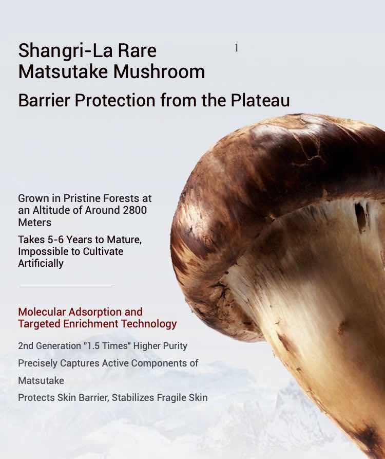 SHE LOG Matsutake Mushroom Amino Acid Cleanser