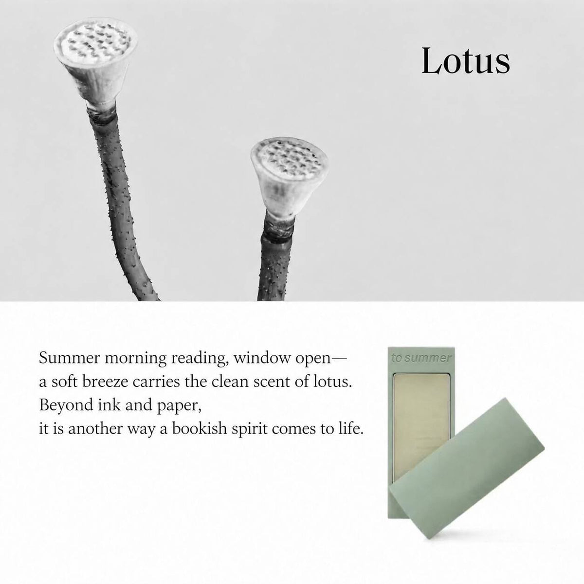 TO SUMMER Bamboo SOLID PERFUME