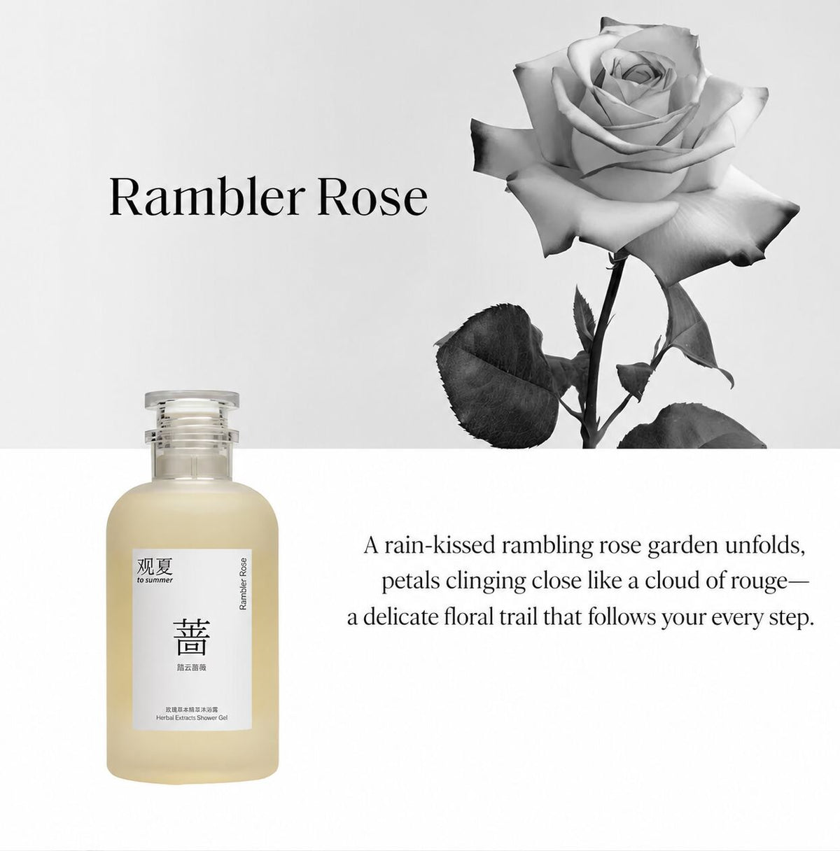 TO SUMMER Amino Acid Body Wash Gel