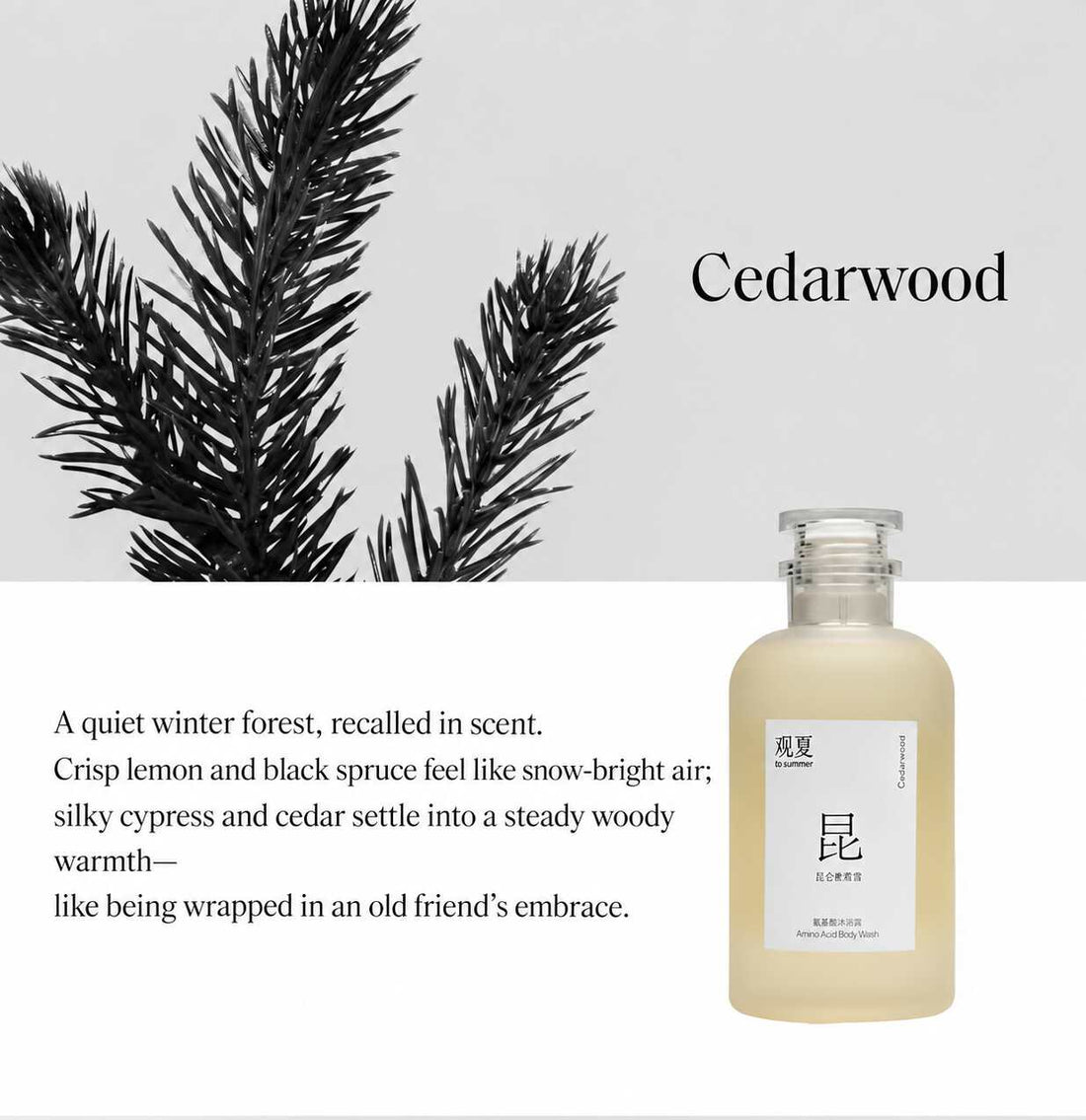 TO SUMMER Amino Acid Body Wash Gel