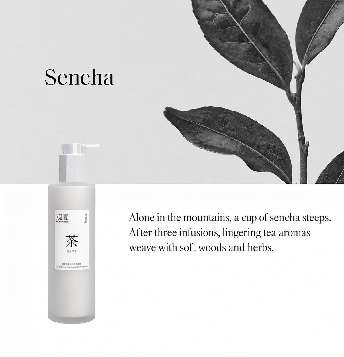 TO SUMMER Essential Oil Nourishing Body Lotion