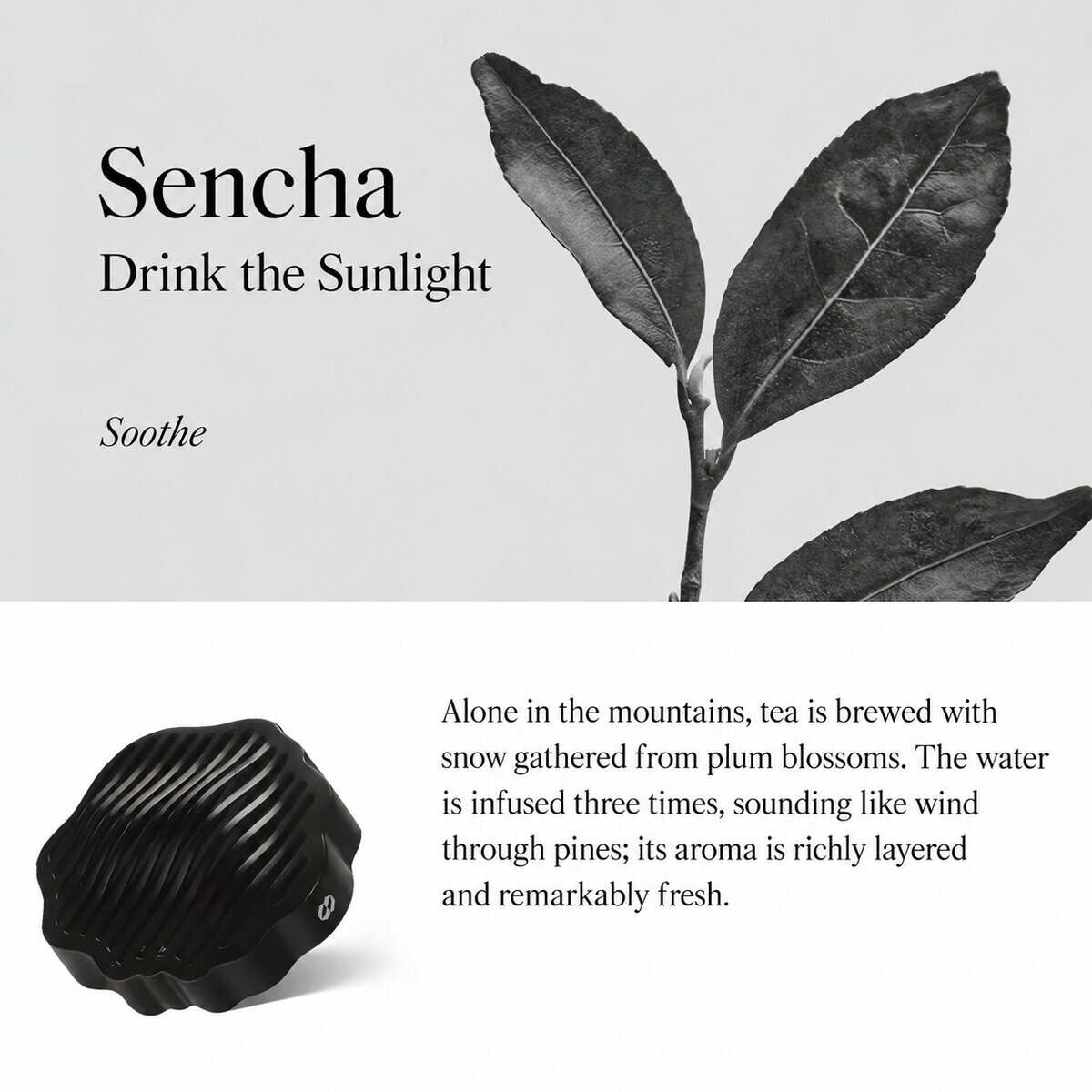 TO SUMMER Car Diffuser
