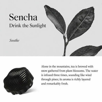 TO SUMMER Car Diffuser