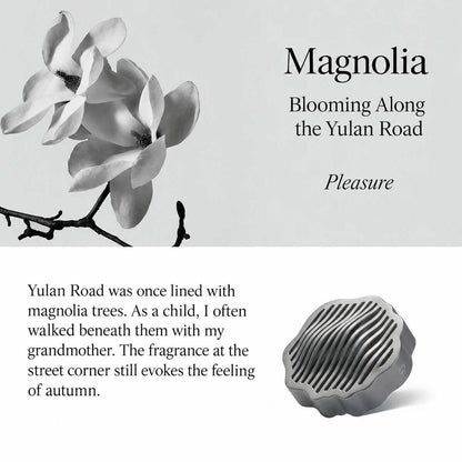 TO SUMMER Car Diffuser