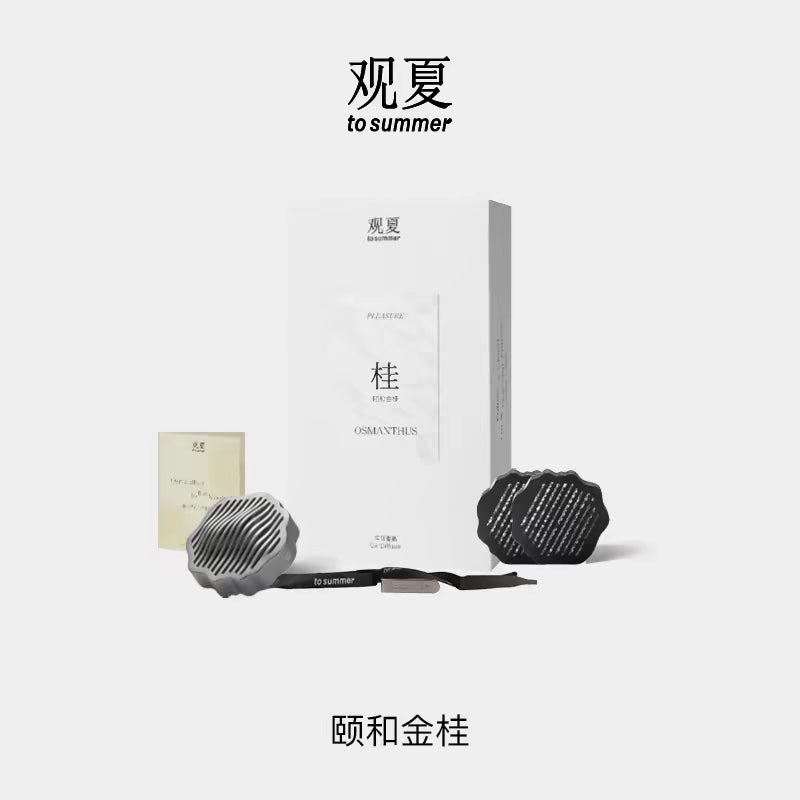 TO SUMMER Car Diffuser