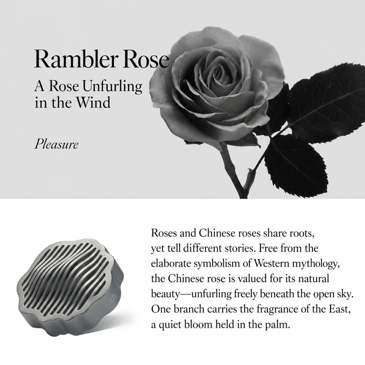 TO SUMMER Car Diffuser
