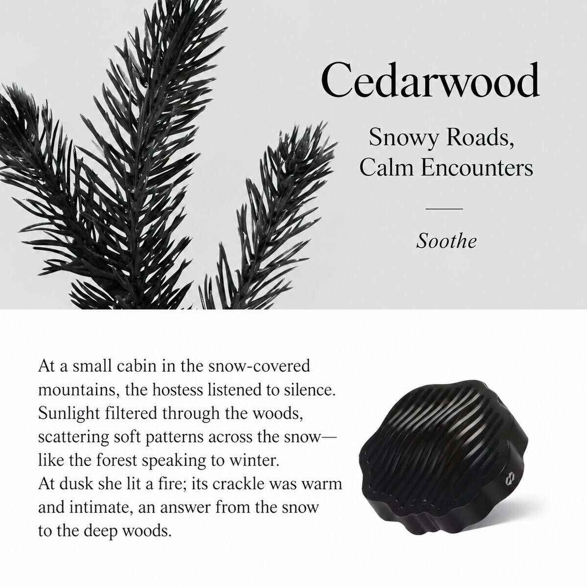 TO SUMMER Car Diffuser