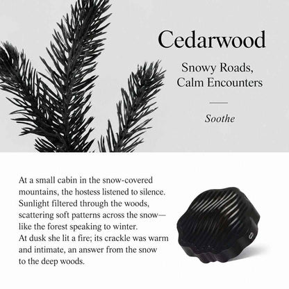 TO SUMMER Car Diffuser