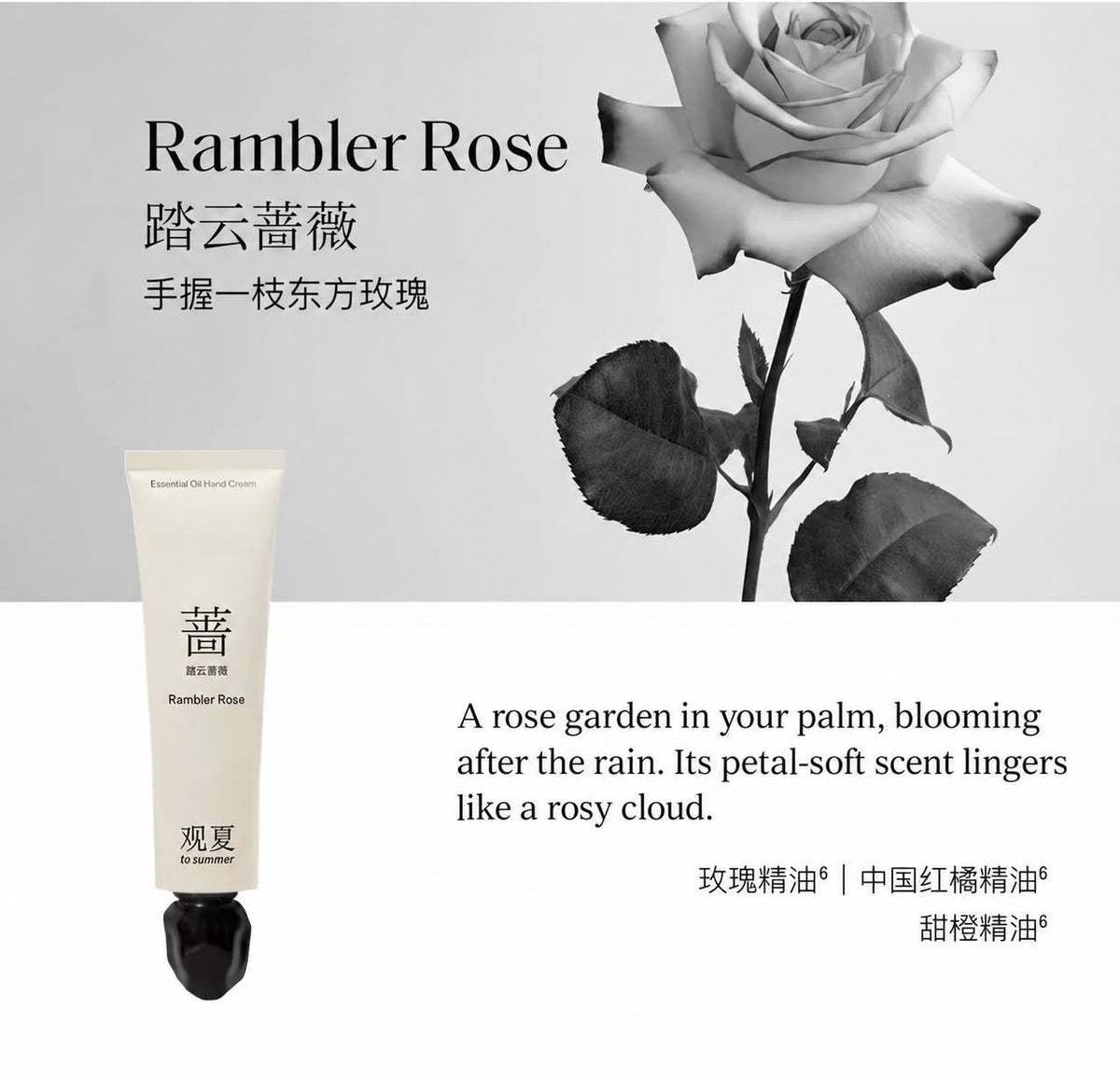 TO SUMMER Herbal Extract Nourishing Oil Hand Cream
