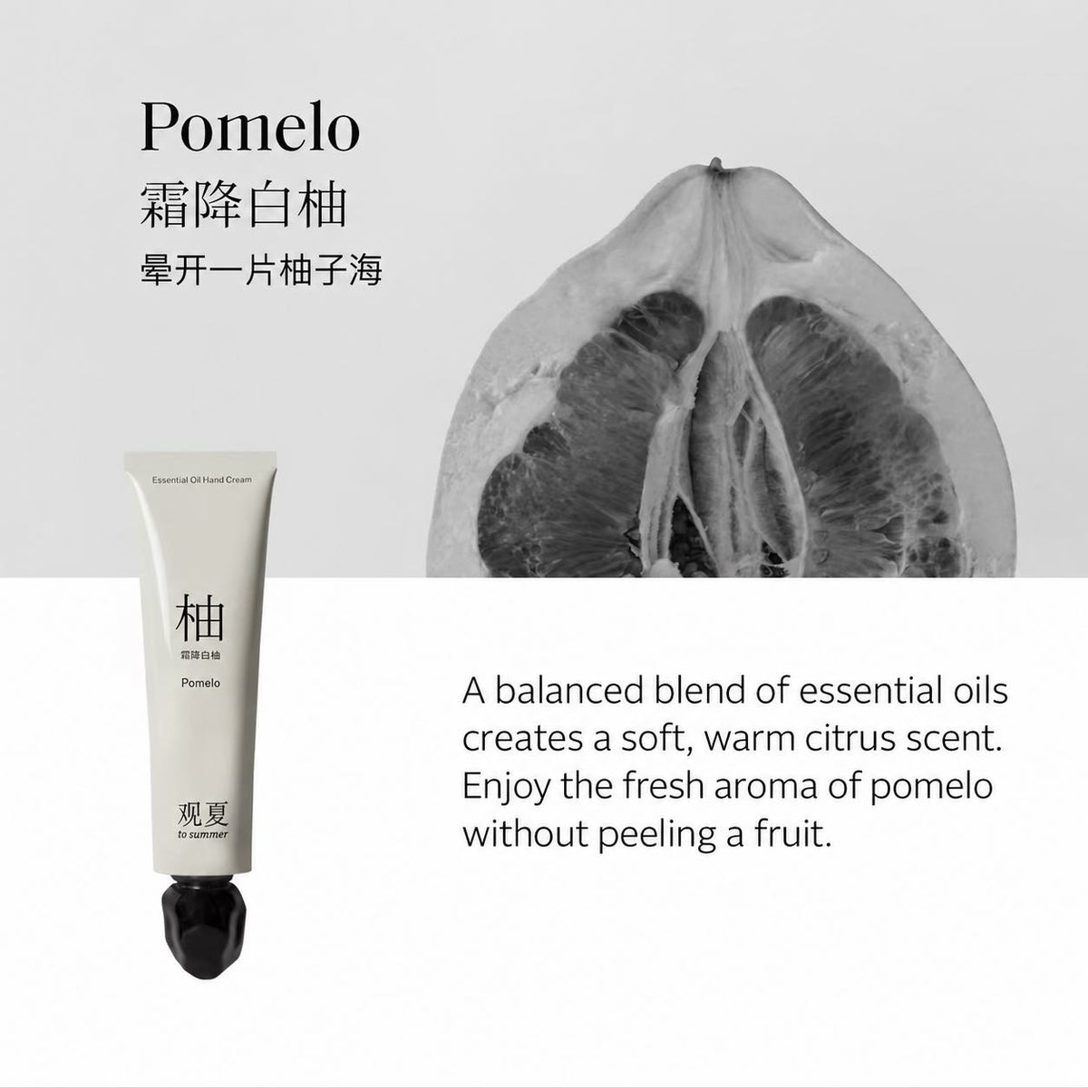 TO SUMMER Herbal Extract Nourishing Oil Hand Cream
