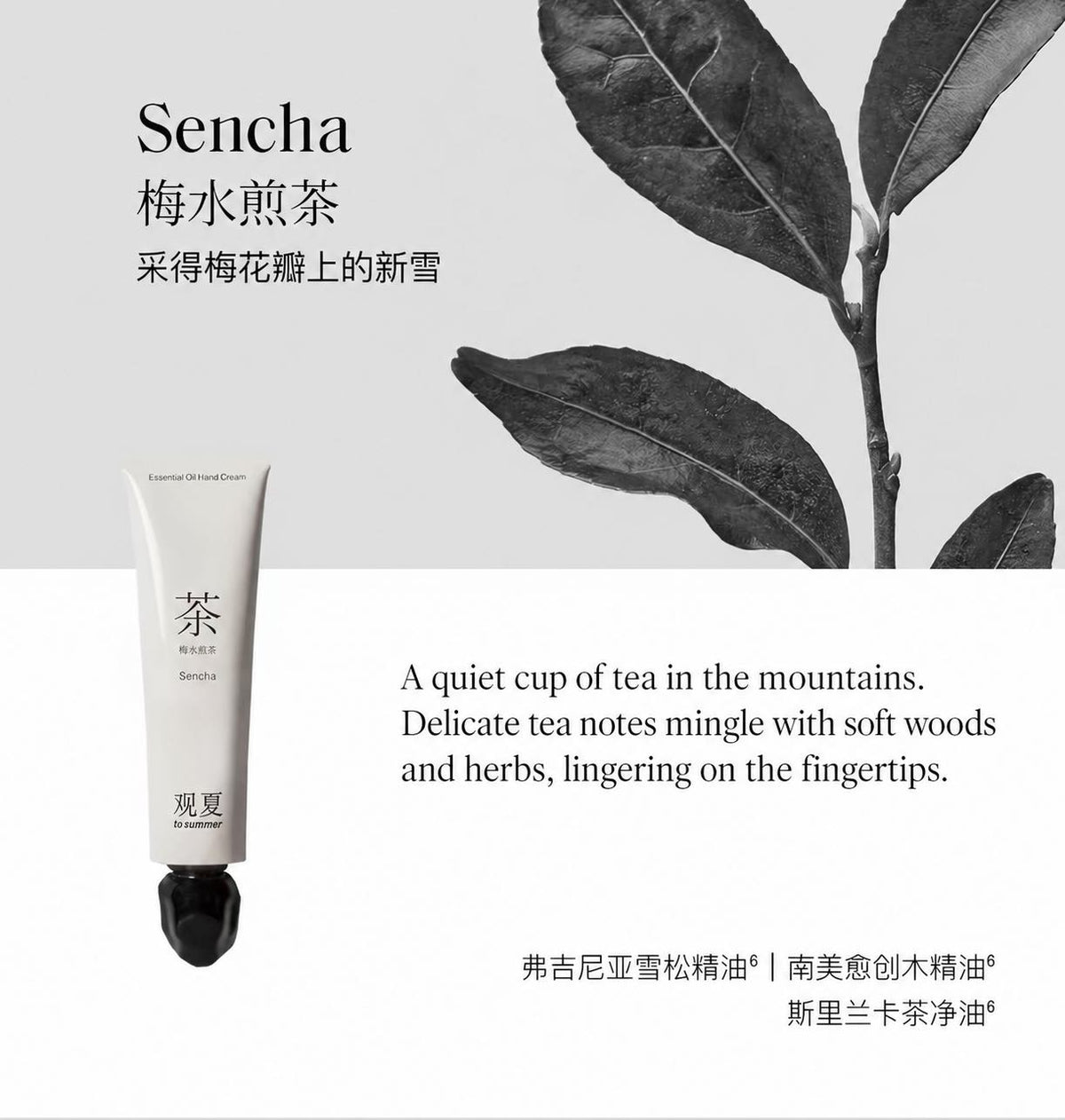 TO SUMMER Herbal Extract Nourishing Oil Hand Cream