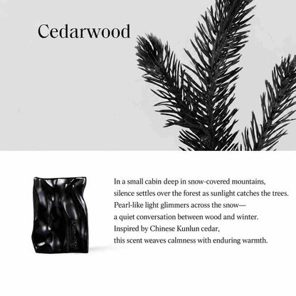 TO SUMMER WAVE SOLID PERFUME