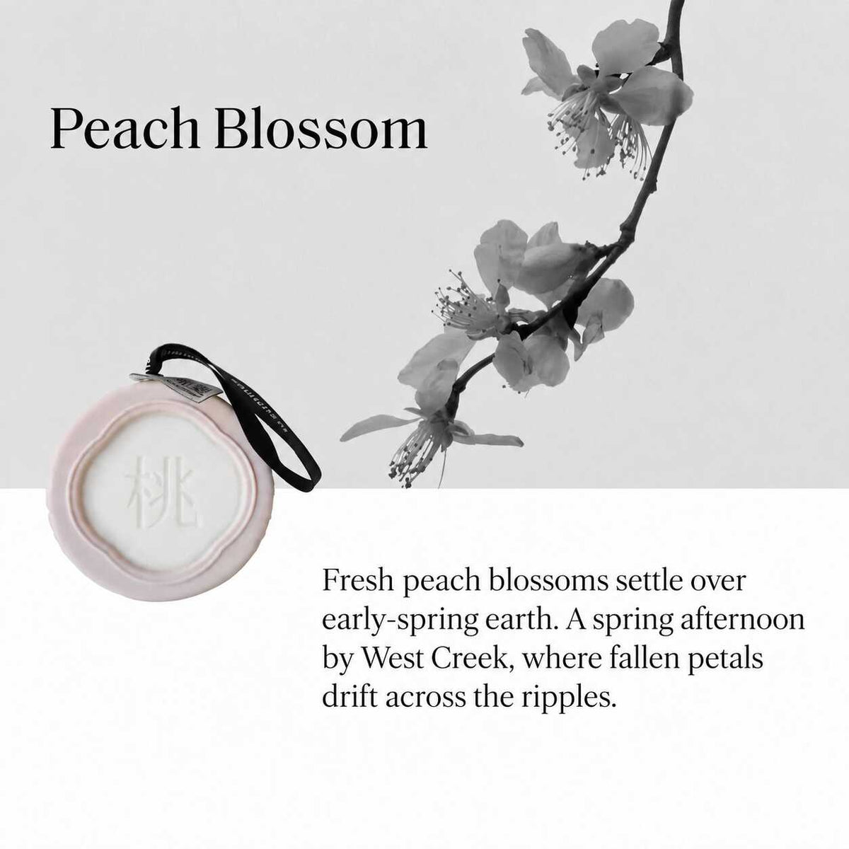 TO SUMMER Scented Ceramic Wax Tablet
