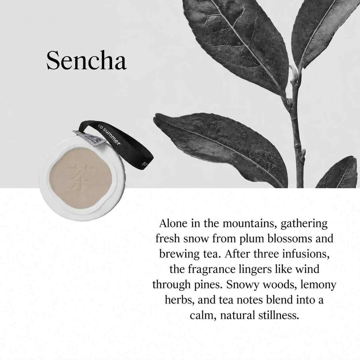 TO SUMMER Scented Ceramic Wax Tablet