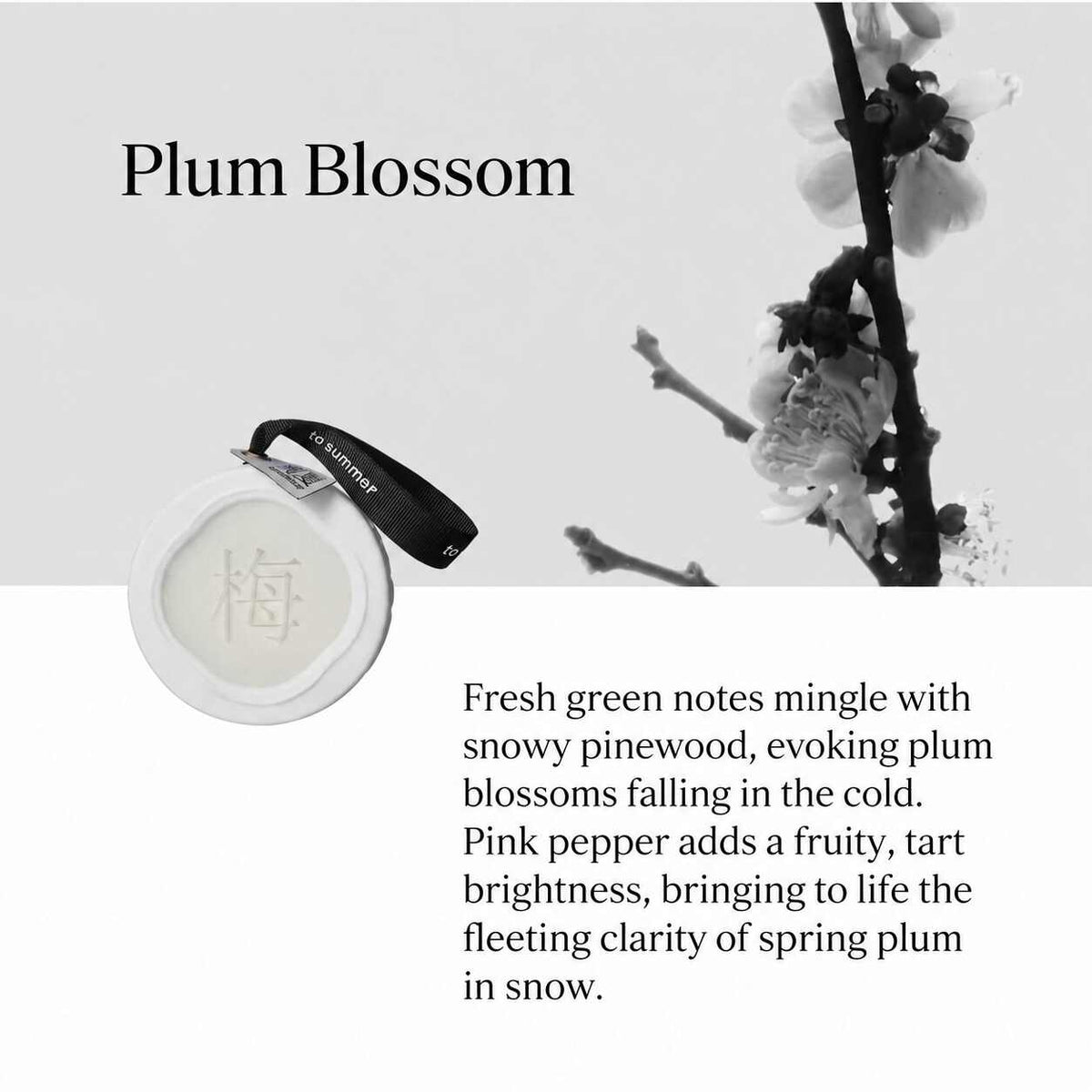 TO SUMMER Scented Ceramic Wax Tablet