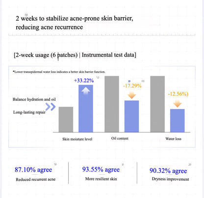 Voolga Acne Cleansing Repair Mask