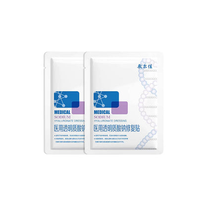 Voolga Medical Sodium Hyaluronate Repair Mask