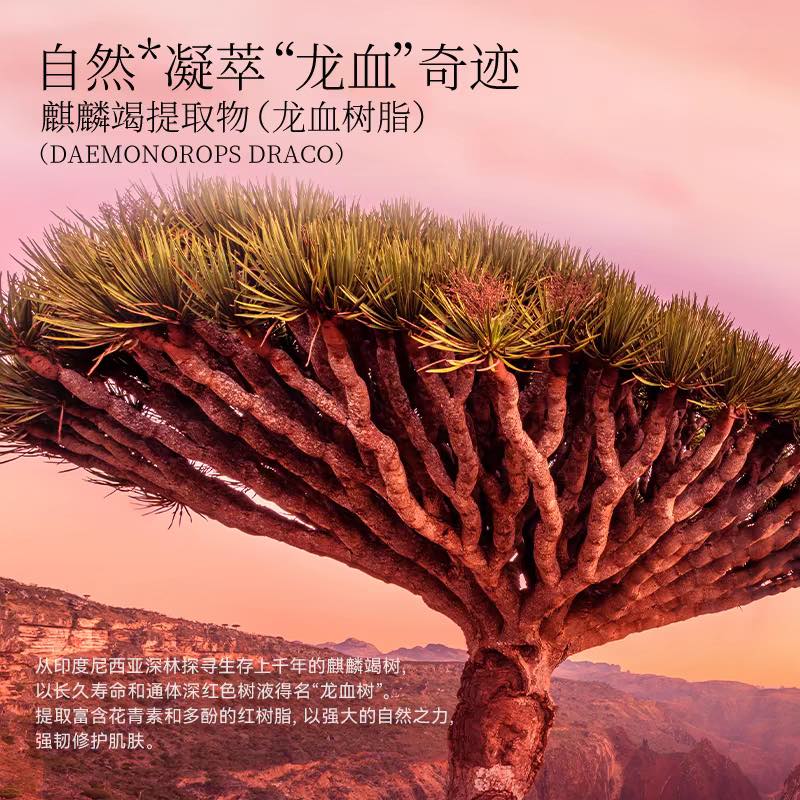 Fan Beauty Dragon Blood Lentibus Fermentation Mask